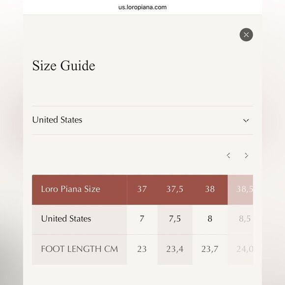 NEW Loro Piana Lomond Penny Loafers Autumn Chestnut Natu - Picture 13 of 14